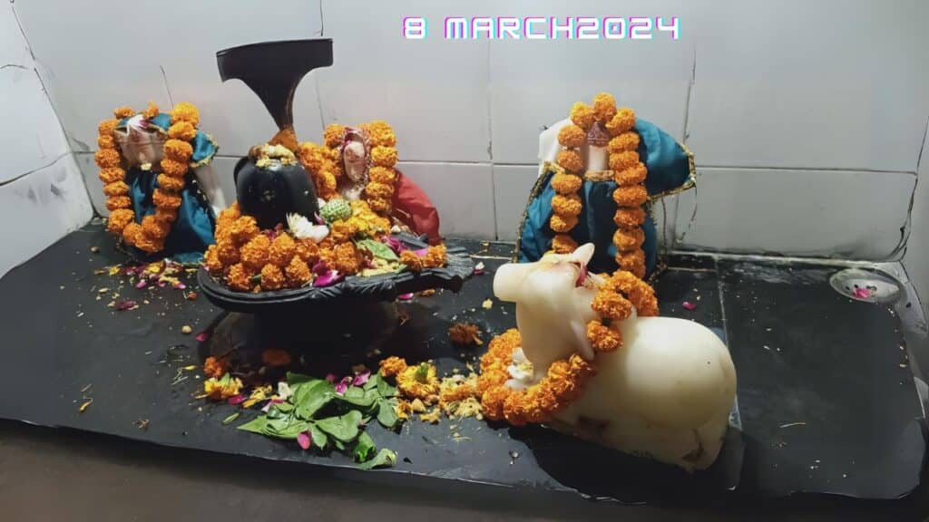 Mahashivratri 2024: शिवरात्रि का व्रत, तो जान लें क्या खाएं और क्या नहीं पूरी जानकारी 